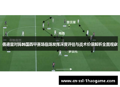 佩德里对阵韩国西甲赛场临场发挥深度评估与战术价值解析全面观察