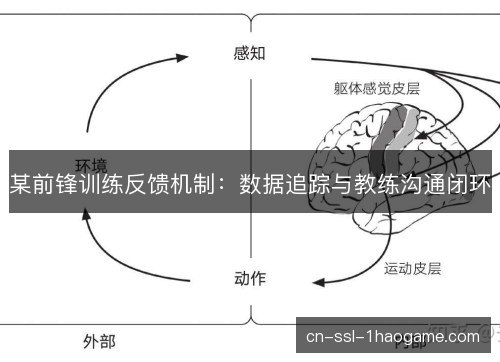 某前锋训练反馈机制：数据追踪与教练沟通闭环